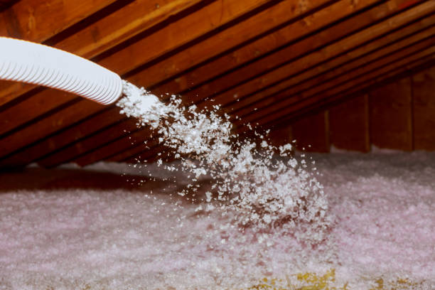 Best Insulation for Specific Applications in Ruhenstroth, NV