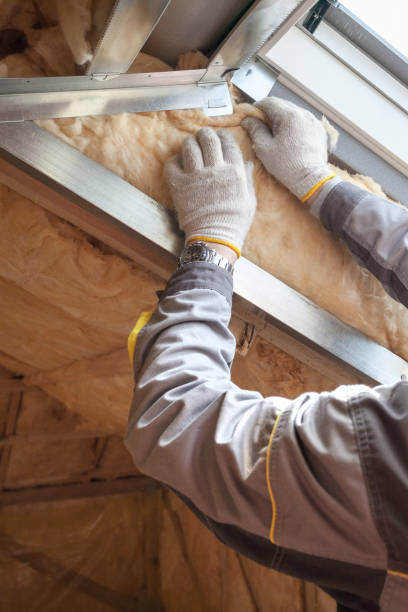 Best Commercial Insulation in Ruhenstroth, NV