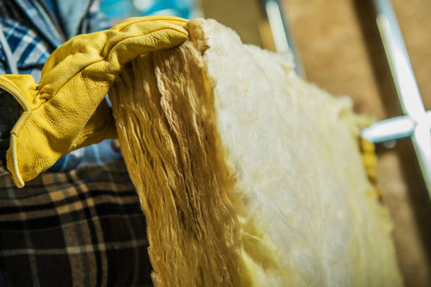 Best Insulation for Specific Applications in Ruhenstroth, NV