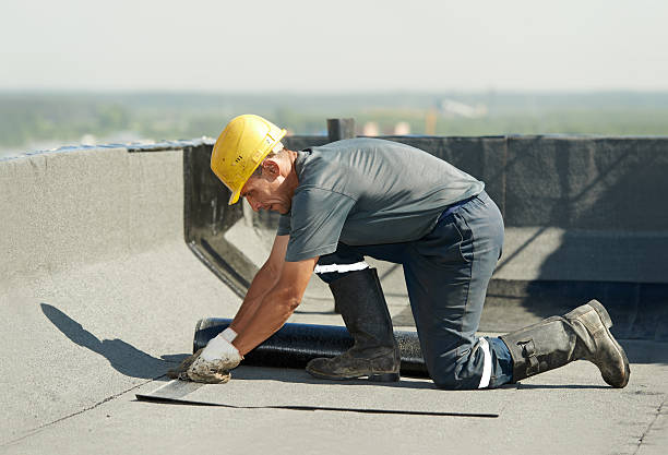 Types of Insulation We Offer in NV